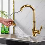 Flexibler Küchenwasserhahn mit ausziehbarem Brausekopf