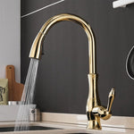Flexibler Küchenwasserhahn mit ausziehbarem Brausekopf