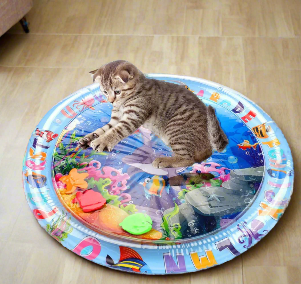 WaterPaws | Play Mat for Stress Reduction and Scratch Prevention
