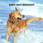 Remote Dog Training Collar - 3300 Feet Distance