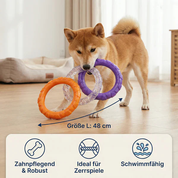 Robustes Kau Spielzeug für Hunde mit 3 Ringen, zahnfreundlich