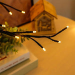 Lichtzauber - Cozy Lighting for Your Home
