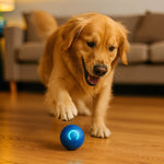 WuffBall: Interaktives Hundespielzeug für endlosen Spaß