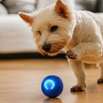WuffBall: Interaktives Hundespielzeug für endlosen Spaß