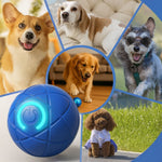 WuffBall: Interaktives Hundespielzeug für endlosen Spaß