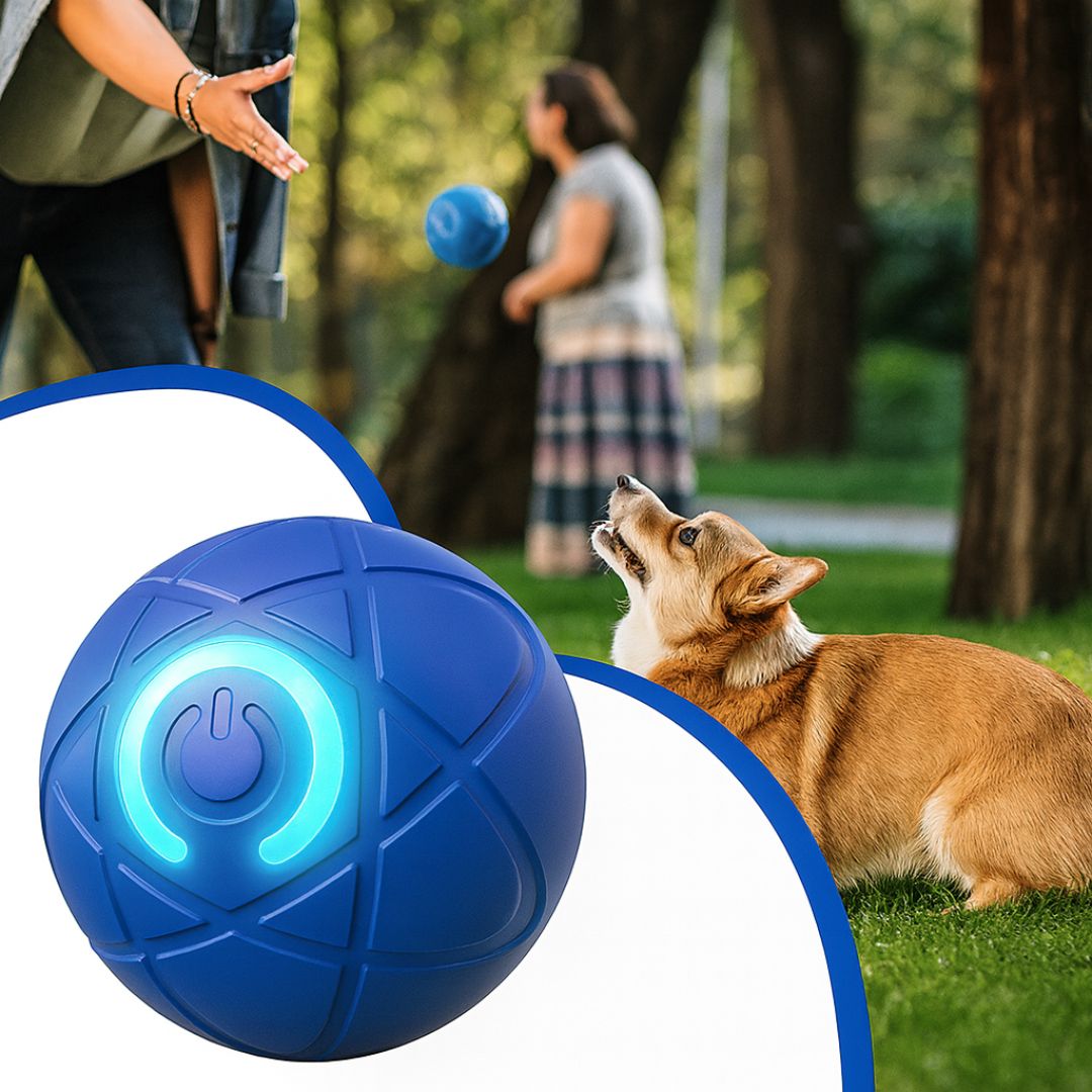 WuffBall: Interaktives Hundespielzeug für endlosen Spaß