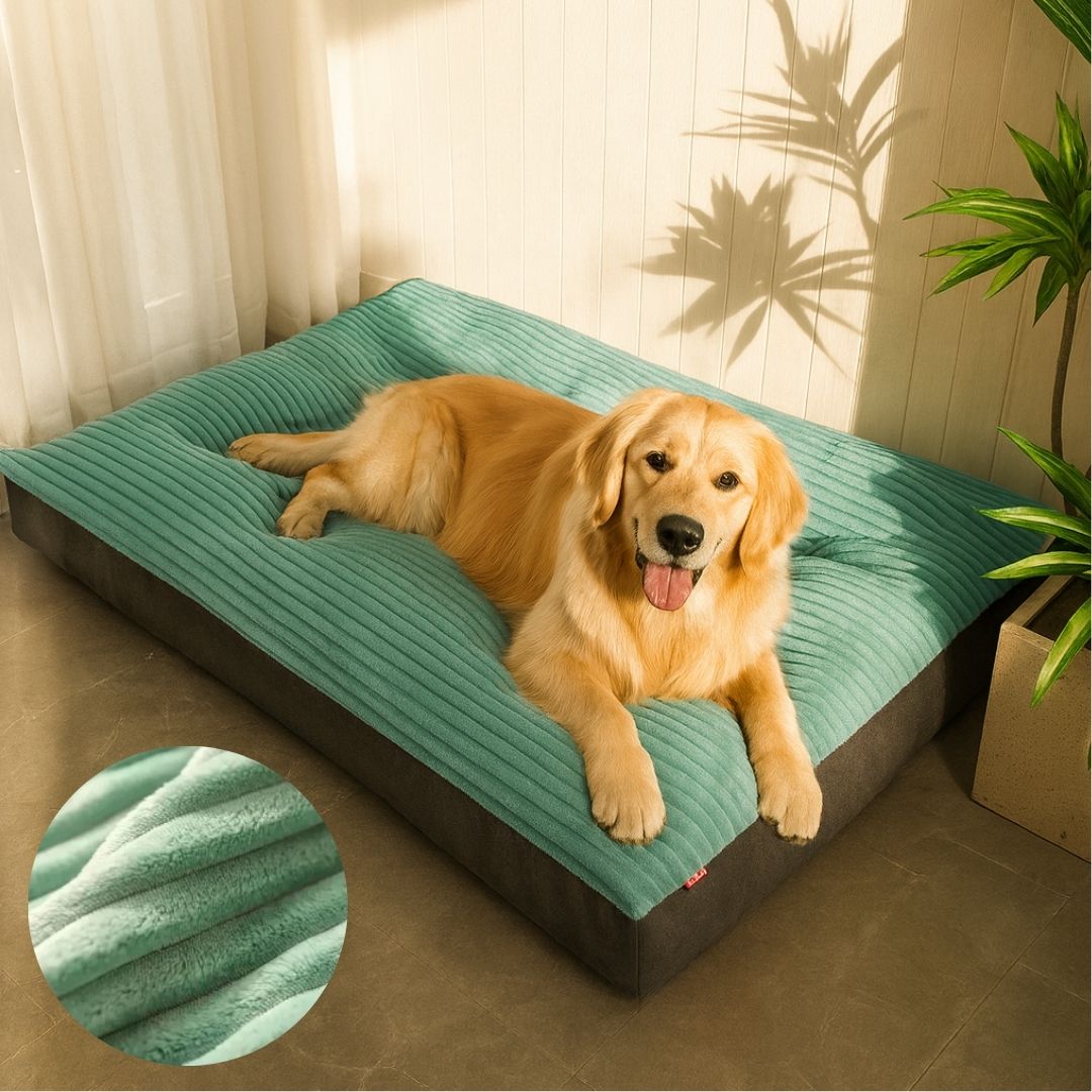 Komfortables Orthopädisches Hundebett für Alle Hunderassen