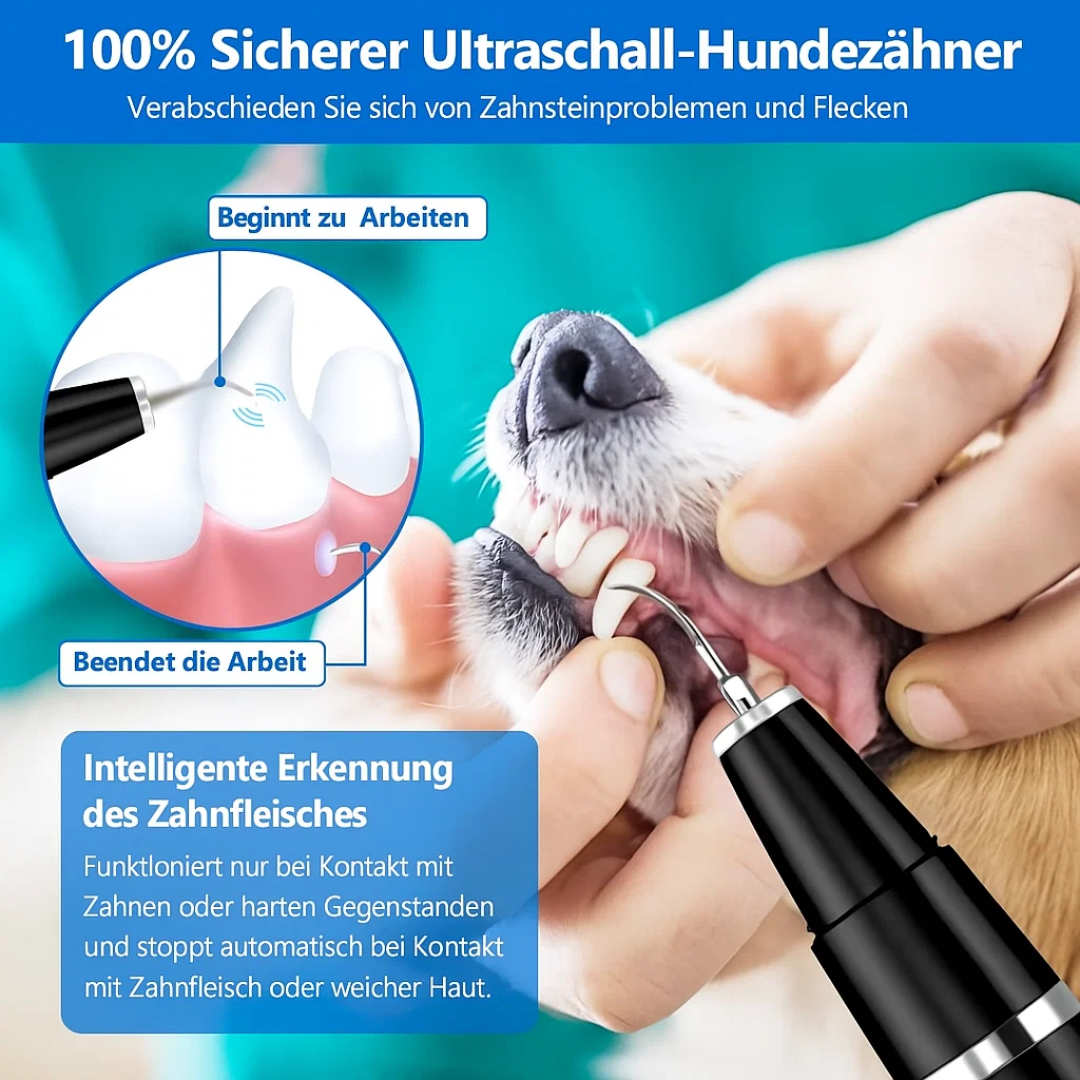 Bild-Alt-Text